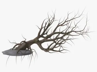 Old Tree 3D model purchase