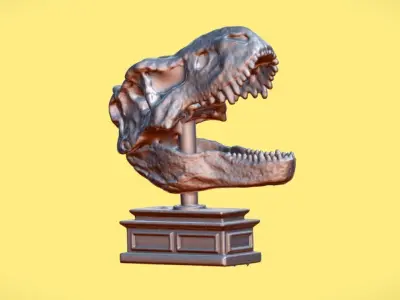 T-REX SKULL TOY - 3D SCAN Free 3D model
