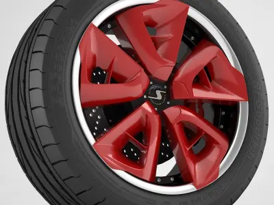 wheel Schmidt Cirrus 3D model