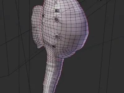 Potbelly Seahorse Low-poly 3D model