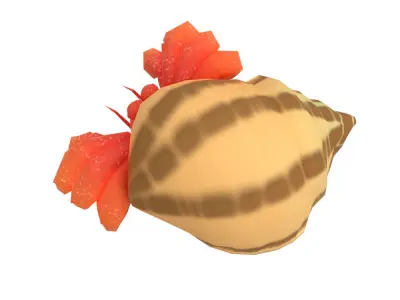 Coenobita Perlatus Animated  Low-poly 3D model