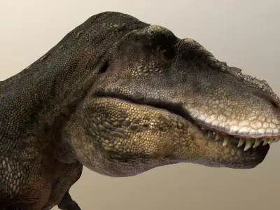 Tarbosaurus Low-poly 3D model