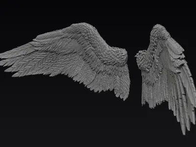 Wings Zbrush Sculpt 3D model