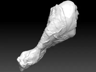 Chicken Drumstick 3D model