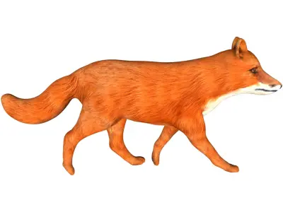 Red Fox Low-poly 3D model