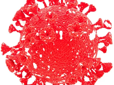 coronavirus corona virus 3D model