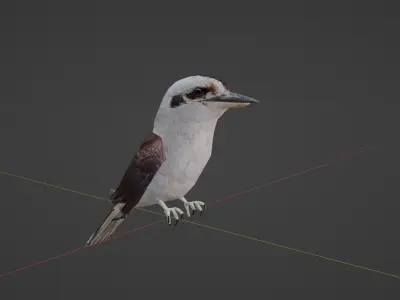 Game Ready Kookaburra with Animations Low-poly 3D model