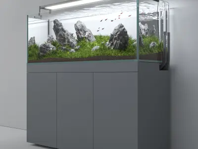 Aquascape aquarium Iwagumi 3D model