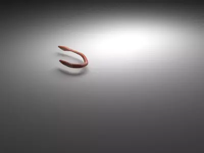 Animated Earthworm 3D model