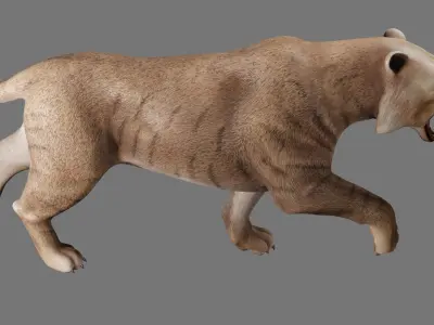  saber tooth 3D model