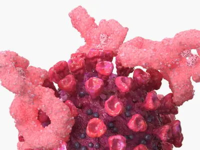 Immunology Virus with Antibodies Interaction Pink 3D model
