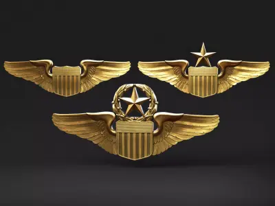 USAF Pilot Wings 3D print model