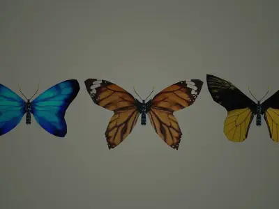 butterfly antenna wing insect fly wildlife summer sky  3D model