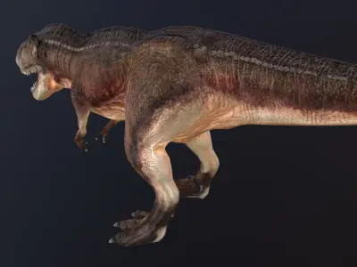 Tyrannosaurus t - rex Low-poly 3D model