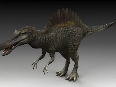 spinosaurus dinosaur jurassic prehistoric reptile creature  3D model