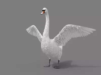 Realistic Swan 3D model