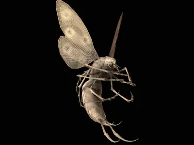 FlyingBug2 A1 Low-poly 3D model