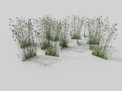 grass pack Low-poly 3D model