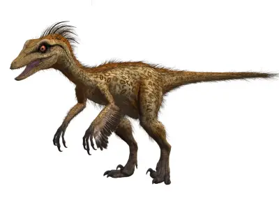 Troodon dinosaur Low-poly 3D model