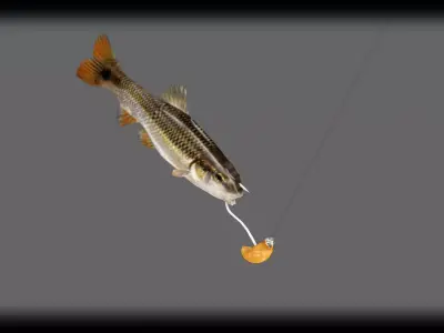 RedTail Chub 3D model