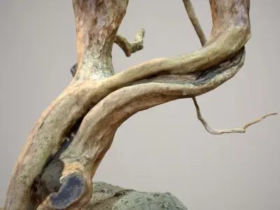 Curly tree Scan Low poly 3D model