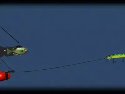 downrigger two fish on fishing line 3D model