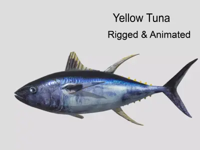 Yellowfin Tuna Low-poly 3D model