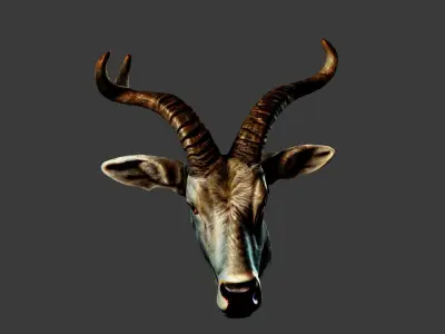 Deer Animal Head Low-poly 3D model