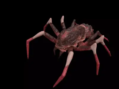 red spider columbias Low-poly 3D model