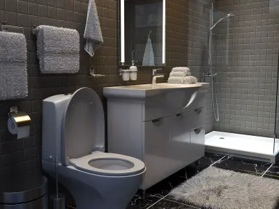 Inventory for an adjoining bathroom 3D model