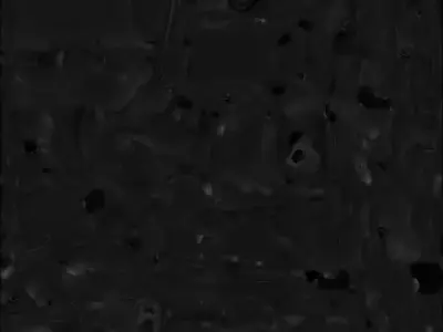 Cartoon Panda Winter Character 3D Model Cozy Mascot Low-poly 3D model