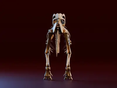 Realistic Ancient Reptilians Fossil - Tyranosaurus Low-poly 3D model