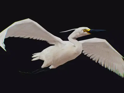 Stork Flying Bird Realistic Heron Animated Animal Lowpoly Low-poly 3D model