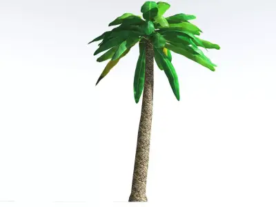 EVERYPlant Bjuvia Cycad LowPoly 1 --12 Models-- Low-poly 3D model