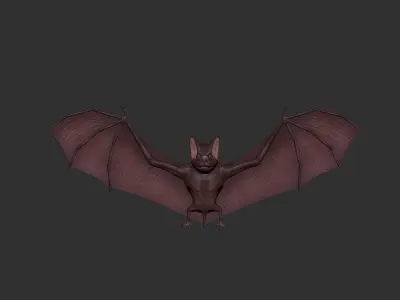 3D Bat Low-poly 3D model