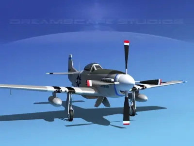 P-51D Mustang Savanah 3D model