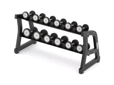 Technogym Two Tier Dumbbell Rack 6 Pairs 3D model