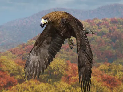 Golden Eagle - rigged - animated standard PBR VRAY 3D model