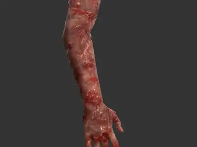 Arm Bloody Body Part Game Ready Low-poly 3D model