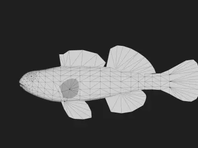 Darter Low-poly 3D model
