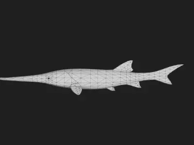 Sturgeon Low-poly 3D model