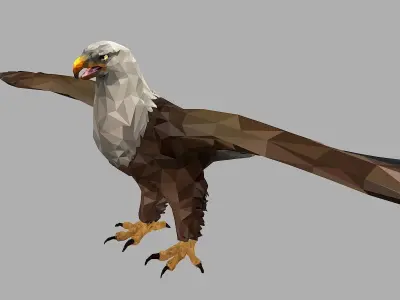 Bald Eagle Low Polygon Art Bird Animal Low-poly 3D model