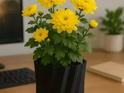 Twisted Spiral Flower Pot  3D print model