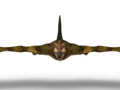 Pterodon 3D Model Free 3D model