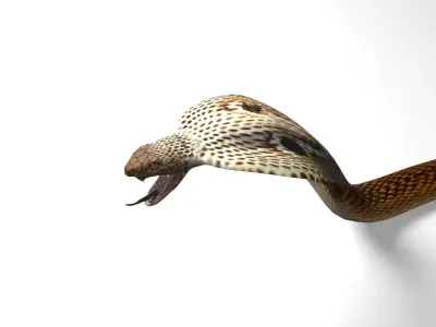 Snake Low Quality 3D model