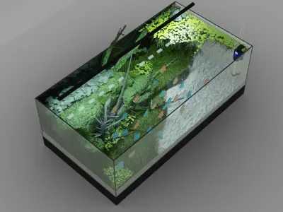 Aquarium fish tank with plants in it 3D model