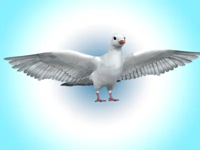 Dove White Pigeon  Low-poly 3D model