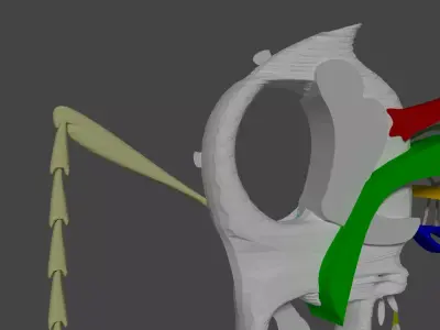 Mosquitoes bug with wings Low-poly 3D model