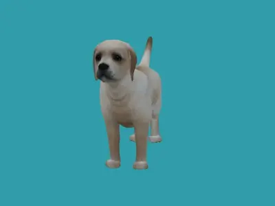 lowpoly dog 3dmodel 3D model