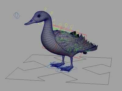 mallard duck flying in air 3D model